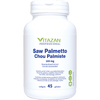 Saw Palmetto image 1
