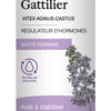 Gattilier (Vitex) image 2