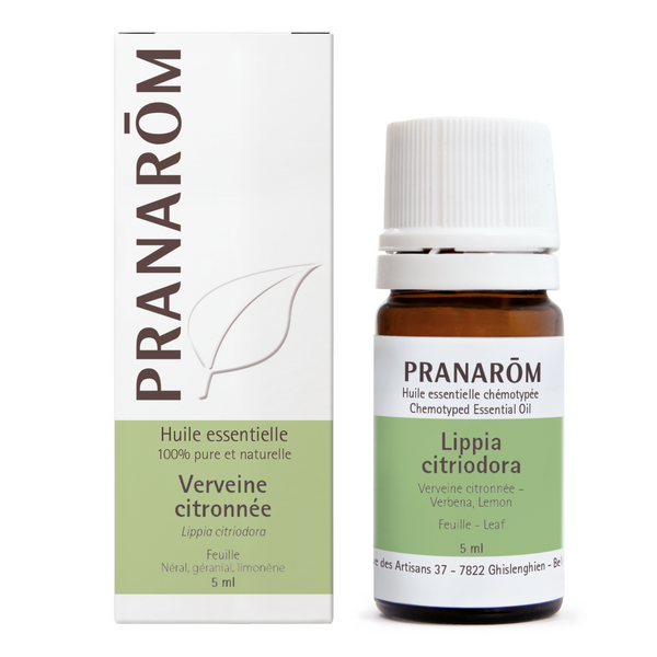Lemon verbena - leaf