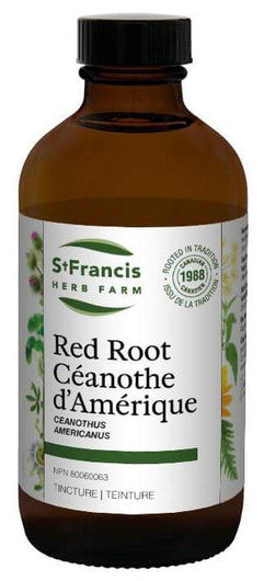 Céanothe D'Amérique