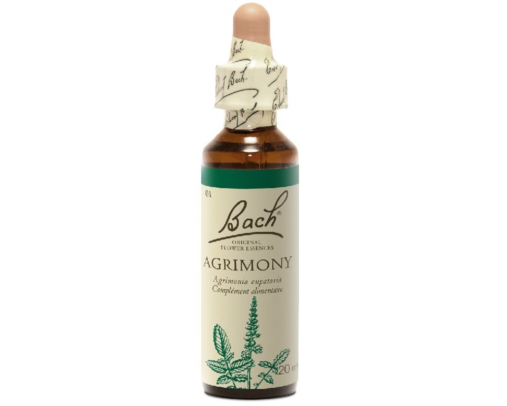 Agrimony - Agrimony
