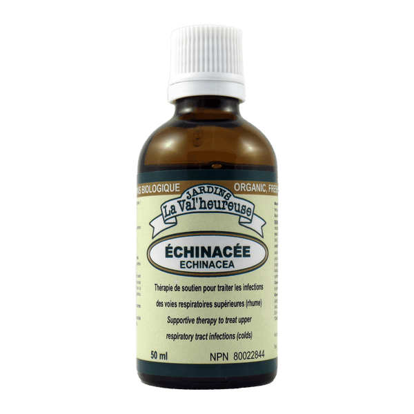 Échinacée