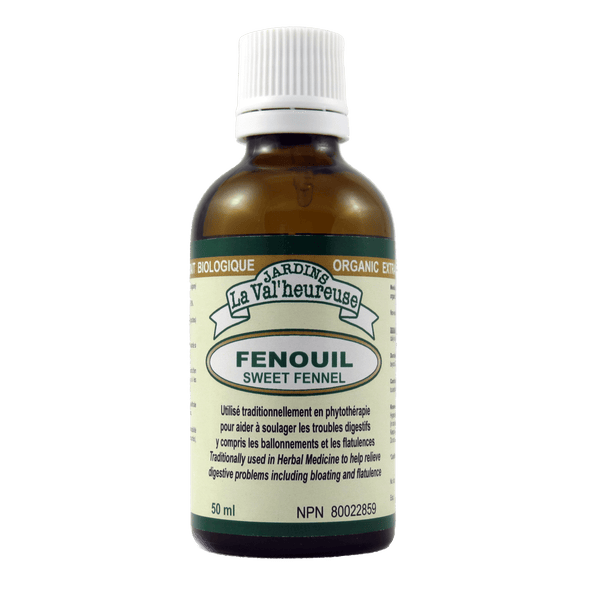 Fenouil