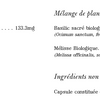 Basilic Sacré Vivant image 2