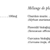 Chardon Marie Vivant image 2
