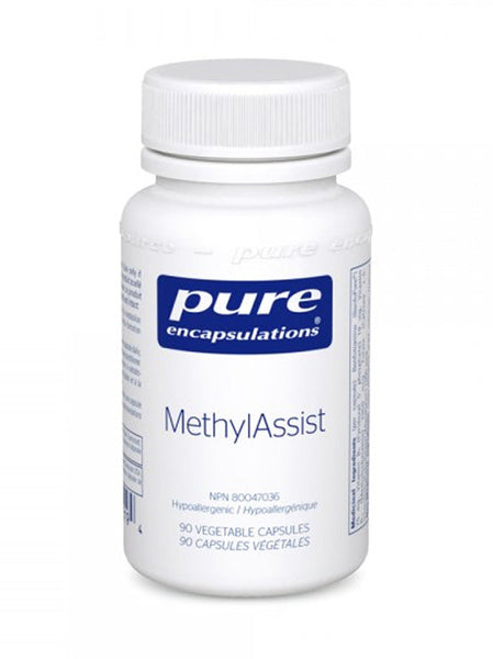 MethylAssist