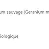 RegRules image 2
