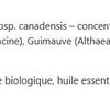 Sirop au sureau contre la toux - Adultes image 2