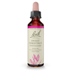 Sweet Chestnut - Chataigner image 1