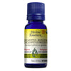 Organic Globular Eucalyptus. image 1
