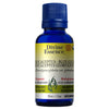Organic Globular Eucalyptus. image 2