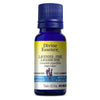 Fine Lavender Conv. image 1