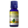 Organic Supreme Peppermint. image 1