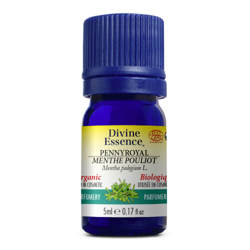 Organic Pennyroyal Mint.