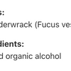 Fucus vésiculeux image 4