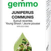 Juniperus Communis image 1