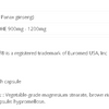 Panax Ginseng image 2