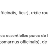 Huile pour les seins image 4