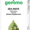 Zea mays  image 1