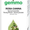 Rosa canina  image 1