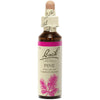 Pine - Pine image 1