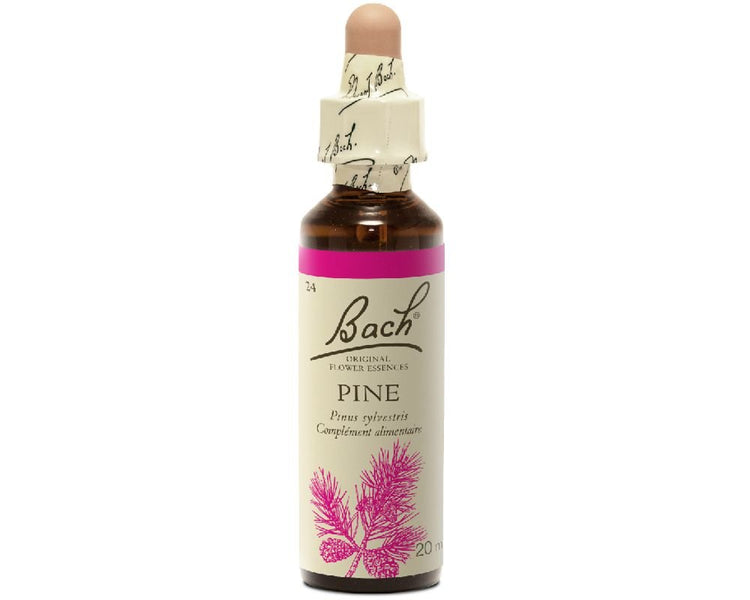 Pine - Pine