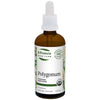 Polygonum image 3