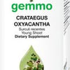 Crataegus oxyacantha  image 1