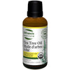 Tea tree oil image 3