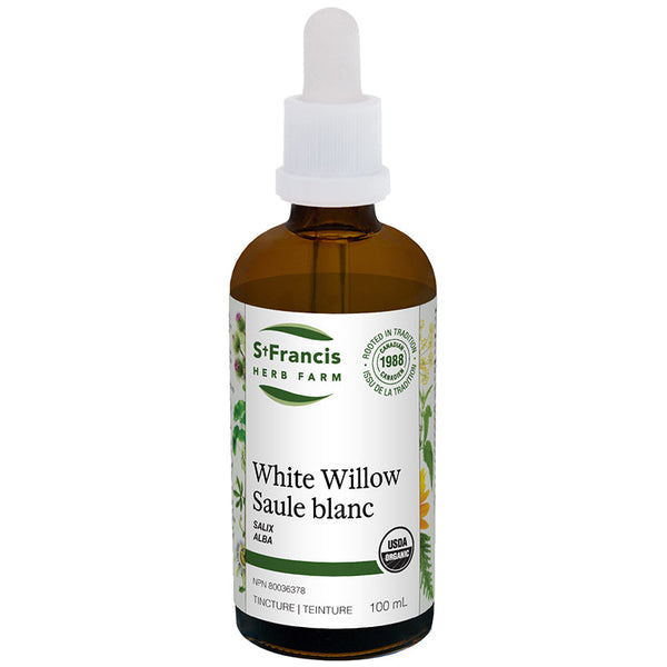 Saule blanc