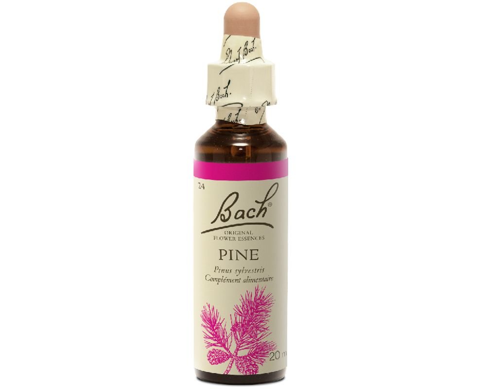 Pine - Pine