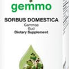 Sorbus domestica  image 2