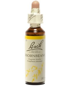 Hornbeam - Charm