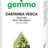Castanea vesca  image 1