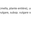 Black Walnut, Complete Formula image 4