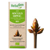 Aesculus Hippocastanum - G53 - Marronier image 1