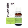 Eucalyptus citronné image 1