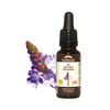 Verveine image 1