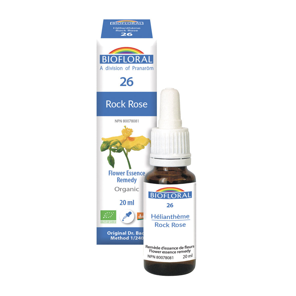 Rock Rose