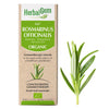 Rosmarinus Officinalis - G67 image 1