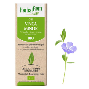 Vinca minor - G89 - lesser periwinkle