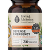 Defense Emergency image 1