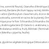Detox 4 saisons image 4