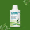 SOLDE - Chlorophylle Liquide image 2