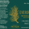 SALE - Evergreen C - Pine Needle and Spruce Tip Dye image 2