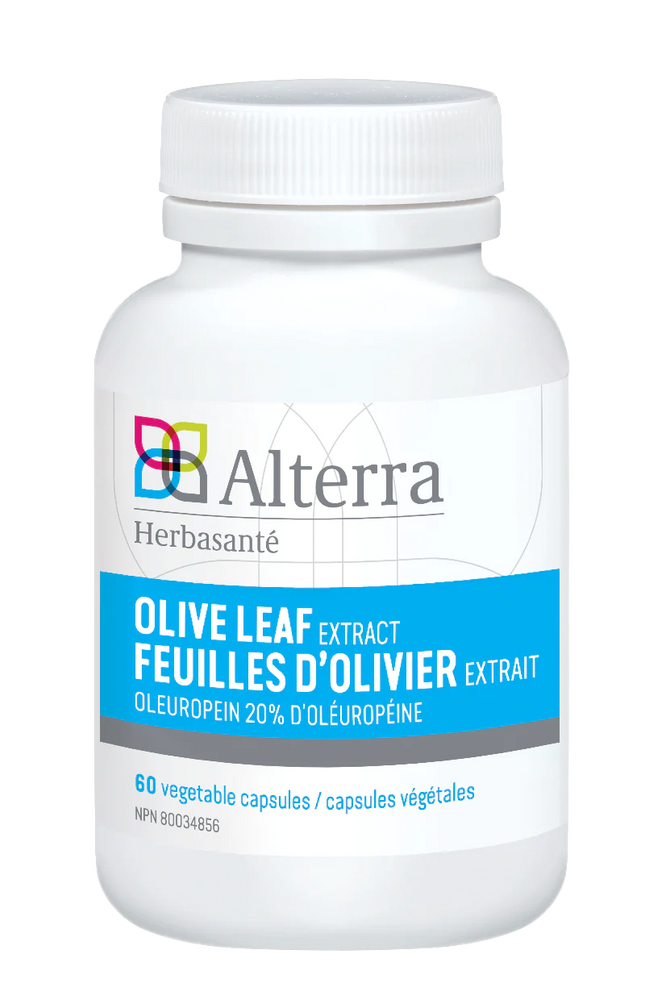 SALE - Olive Leaf