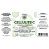Cellulite image 2