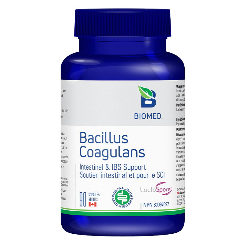 Bacillus Coagulans