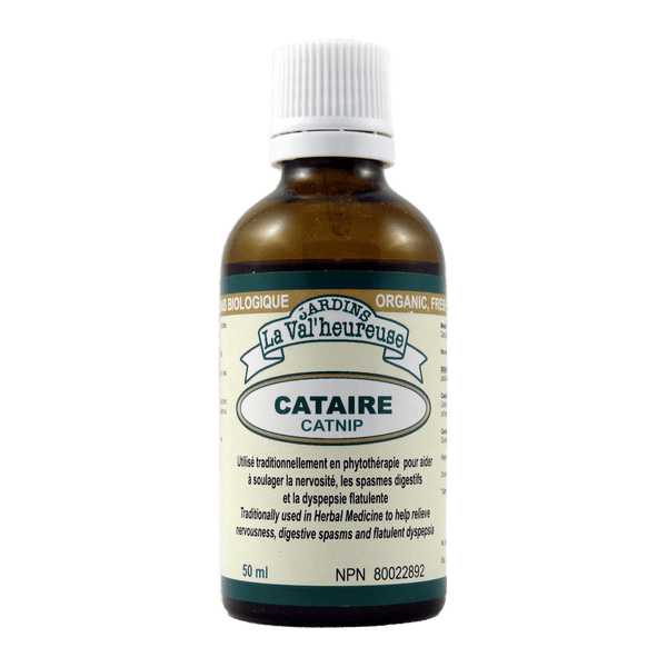 Cataire