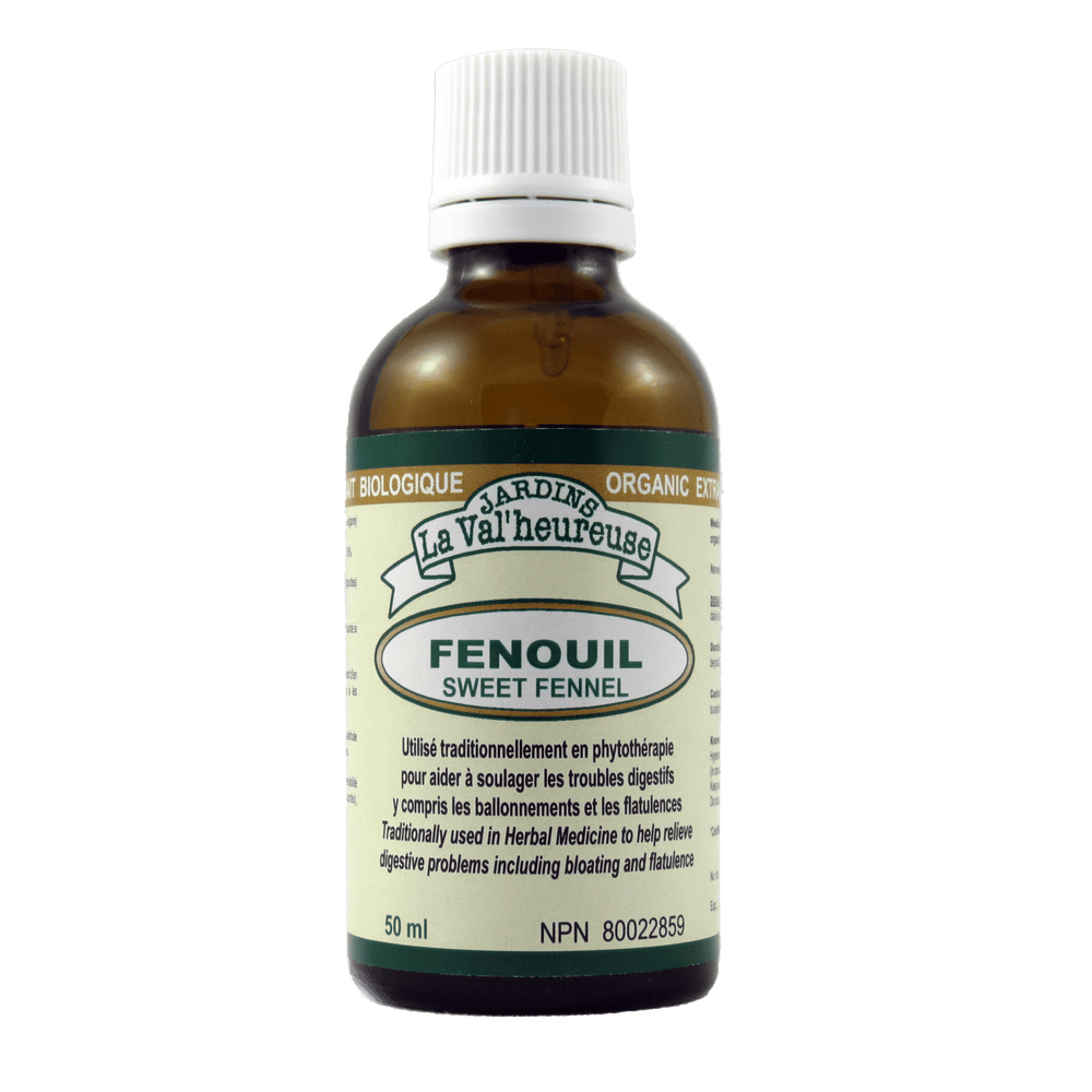 Fenouil